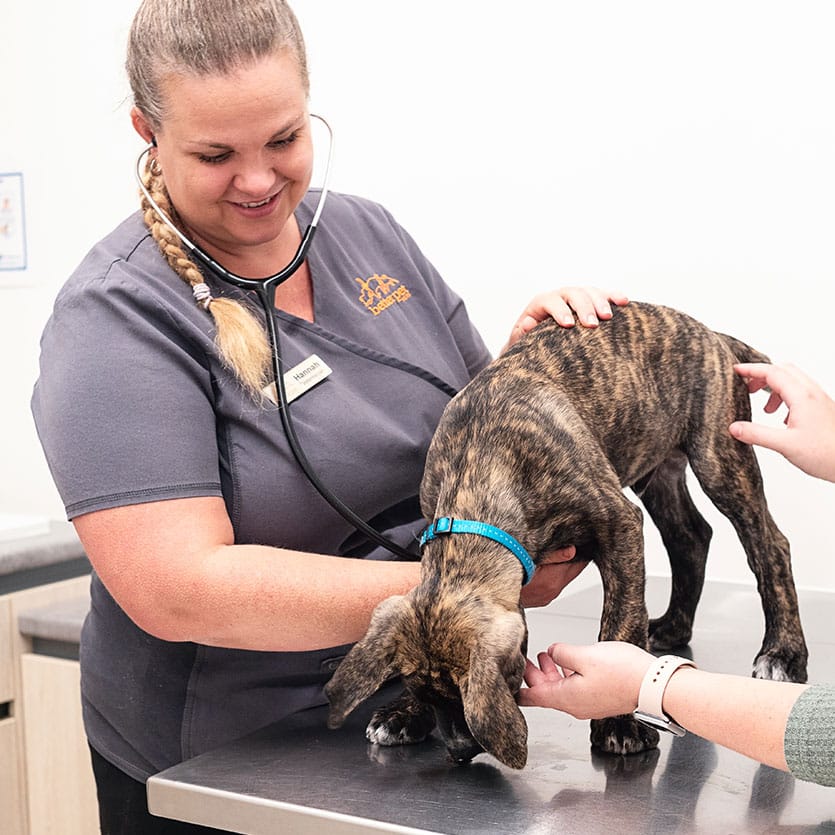 vets for pets cancel appointment